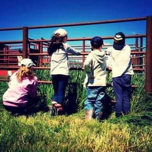 Meet your Posher, Leanne